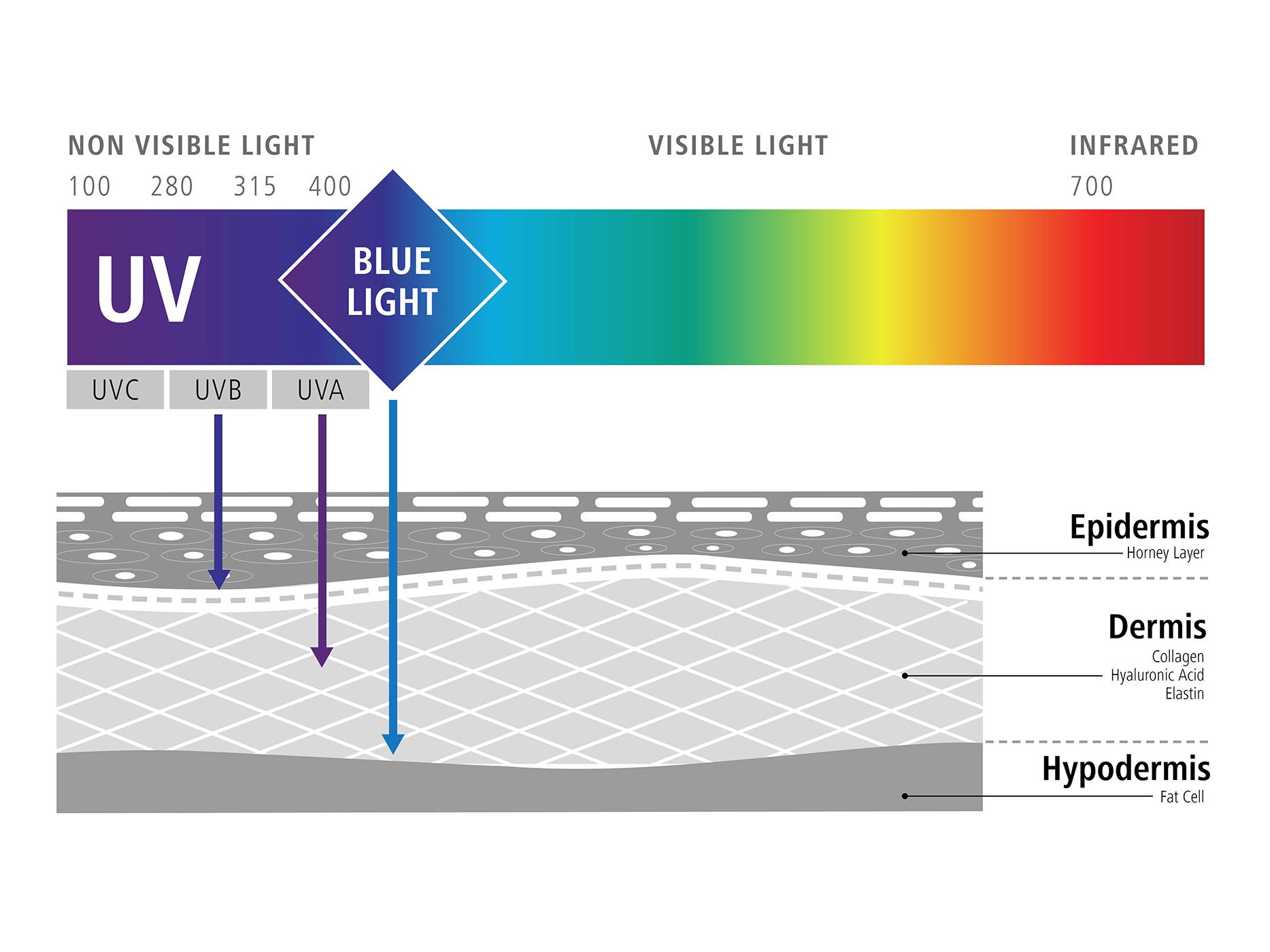 Graphic illustrating the influence of blue light on our cells (negative effects of blue light) 