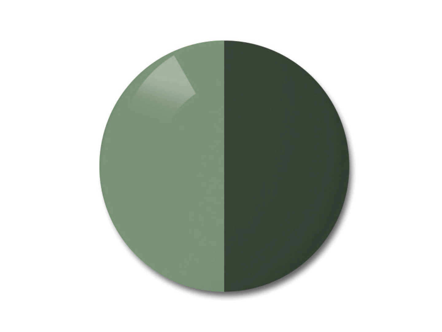 Illustration of ZEISS AdaptiveSun Photochromic Lens in colour option solid pioneer 