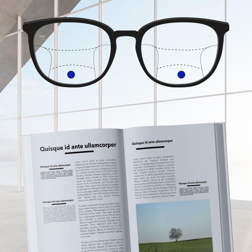 A frame with progressive lenses and schematic lines to indicate different viewing zones. Different parts of the lens are highlighted: Near - bottom part of the glasses.