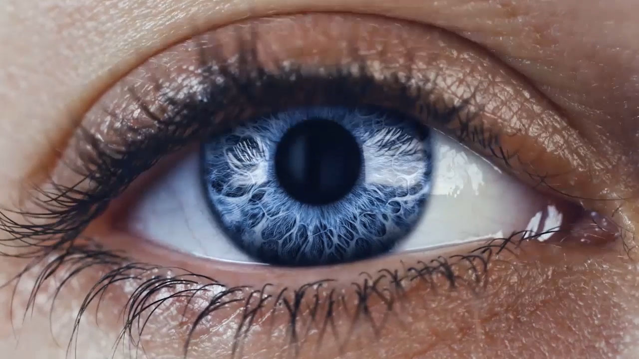 Welcome to ZEISS Vision Care (South Africa)
